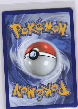 Light Toxtricity SWSH137 Holo Promo Sword & Shield Promo Pokemon Near Mint - Image 2