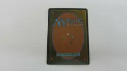 DIDGERIDOO HOMELANDS RESERVED LIST MTG MAGIC THE GATHERING NM / UNPLAYED #2 - Image 3