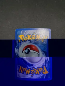 Pokemon TCG Poochyena Delta Species 79/113 Reverse Holo Stamped NM - Image 2