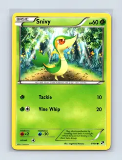 Snivy 1/114 Common Black & White Pokemon Lightly Played - Image 1