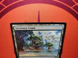 Yavimaya Coast (NM) MTG Discount: 5+ Magic Singles - Image 3