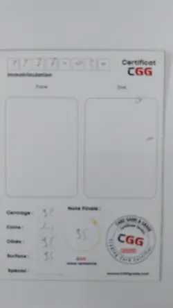 Carte pokemon Dragonite VSTAR CGG 9,5 Gem-Mint Pokemon Go 086/071 22770030 - Image 3