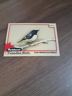 2025/26 parkhurst canadian birds black throated blue warbler - Image 1