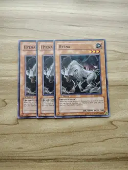 Yu-Gi-Oh! - Hyena 3X - Complete Playset Of Cards - Image 1