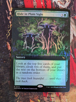 MTG Card : Hide in Plain Sight (Murders Karlov Manor) EXTENDED ART FOIL - Image 1