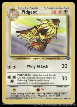 Pidgeot 24/64 Unlimited Jungle Pokemon TCG HP - Image 1