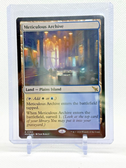 MTG Land - Meticulous Archive - 264 MKM - Image 1
