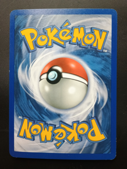 Pokemon Ludicolo 7/100 Sandstorm Holo Lightly Played - Image 2