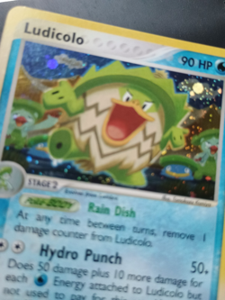 Pokemon Ludicolo 7/100 Sandstorm Holo Lightly Played - Image 3