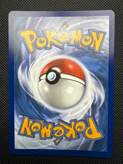 First Partner Illustration Charmander Promo Full Art Holo 038 Pokemon TCG - Image 2