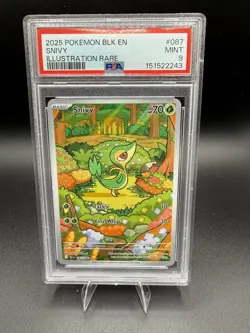 The Pokemon Company Sv: Black Bolt Snivy 087/086 Illustration Rare Holo PSA 9 EN - Image 1