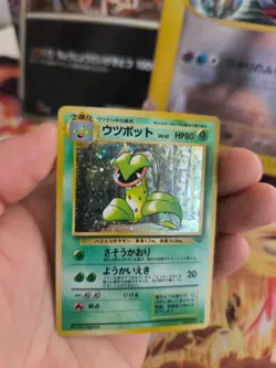 Pokemon Karte Card Victreebel Sarzenia Jungle Dschungel Holo Wotc japanese NM- - Image 3