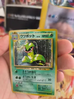 Pokemon Karte Card Victreebel Sarzenia Jungle Dschungel Holo Wotc japanese NM- - Image 4