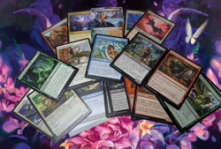MTG Lorwyn Eclipsed 20 Card Lot – Foil or Showcase Included - Image 1