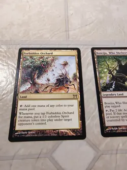 MTG Forbidden Orchard & Boseiju, Who Shelters All Champions of Kamigawa LP LOT - Image 2