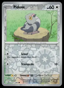 Pidove Common Reverse Holo Black Bolt BLK 071/086 Pokemon NM 2025 - Image 1