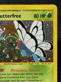 Butterfree 5/165 - Holo Rare - Vintage Pokemon TCG: Expedition Base Set - LP/MP - Image 3