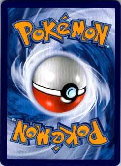 Pikachu-V 019/024 Pokemon Gift Box: Leg. Pikachu Celebration Pokemon Chinese NM - Image 2