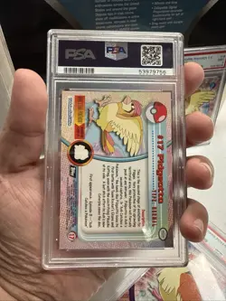 1999 Topps Pokemon TV Animation Series 1 Pidgey Pidgeotto Pidgeot Lot PSA Mint 9 - Image 5