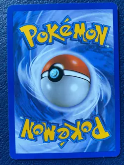 Pokemon Communication 27/30 HGSS Trainer Kit: Gyarados & Raichu (2010) - NM/LP - Image 2