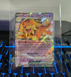 🍞Dachsbun ex - #067/142 - Stellar Crown - Double Rare - NM (Raw) Pokemon Card - Image 1