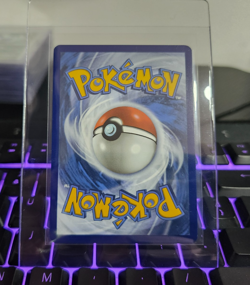🍞Dachsbun ex - #067/142 - Stellar Crown - Double Rare - NM (Raw) Pokemon Card - Image 2