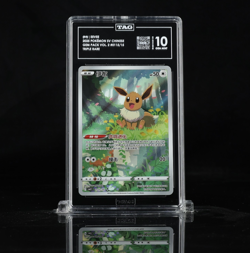TAG 10 - Eevee 0115/15 Art Rare - Chinese EXCLUSIVE - Pokemon CBB2 Gem Pack 2 - Image 1