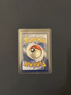 Pokemon TCG: First Partner Illustration Collection Series 2 - JOHTO GEN 2 SET NM - Image 4