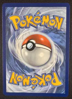 Wailord 162/159 Sv09: Journey Together Holo NM Pokemon - Image 2