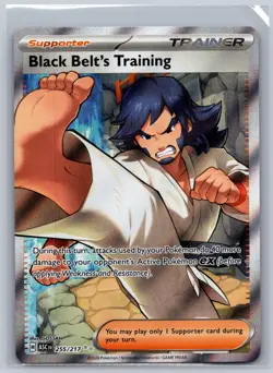Black Belt's Training 255/217 Ultra Rare Ascended Heroes Pokemon Holo Near Mint - Image 1