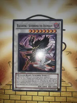 Yu-Gi-Oh Blackwing Silverwind the Ascendant DP11-EN015 1st Edition - Image 3