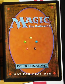 Magic The Gathering MTG ASWAN JAGUAR Promo 6x9 Oversize Jumbo Card - Image 2