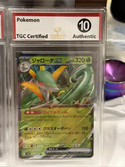 Pokemon Japanese Graded Ex Lot, 2025 Sets. Trophy Grading 10 Rare Holos - Image 5