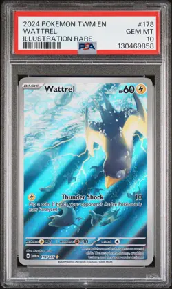 Wattrel Illustration Rare Pokemon S&V:Twilight Masquerade PSA 10 - Image 3