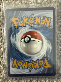 Lileep 145/142 Holo Illustration Rare Stellar Crown Pokemon 2024 Near Mint - Image 2