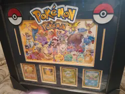 Pokemon Card Display Framed - Image 3