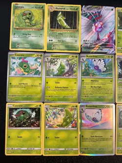 18 Caterpie Metapod Butterfree Pokemon TCG mix lot🐛🫛🦋🔥😍😍 All Different 151 - Image 2