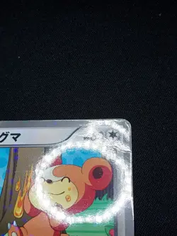 Teddiursa Holo - 015/020 C SC Shiny Collection - Japanese Pokemon - Image 5