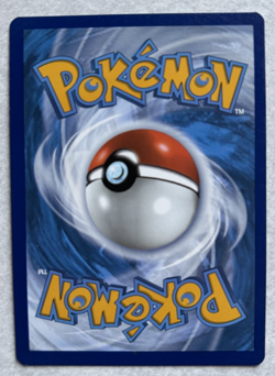 Pyukumuku SWSH169 - Sword & Shield Pokemon TGC Promo PreRelease Holo Rare NM - Image 4