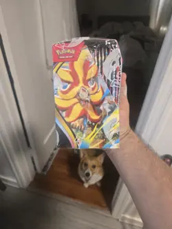 Pokemon Chaos Rising Booster Box Sealed - Image 4