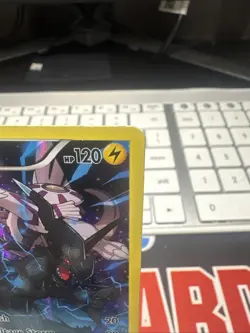 Pokemon TCG Zekrom Black Star Promos Holo Card XY75 and Palkia XY76 - Image 3