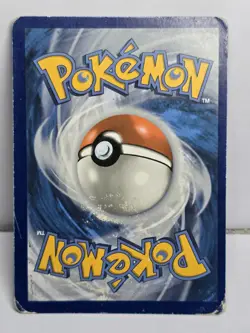 Boltund V Holo Black Star Promo SWSH219 Pokemon 2022 Sword & Shield Free Shippin - Image 2