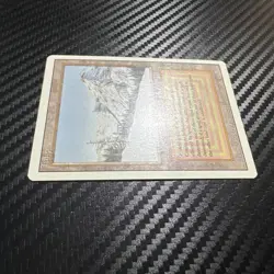 Taiga Revised Edition Dual Land English MTG Magic the Gathering 1994 - Image 3