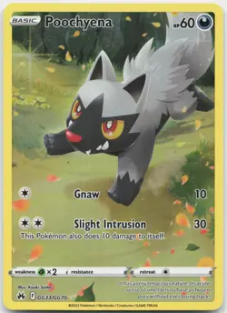 Poochyena GG33/GG70 Holo Crown Zenith Galarian Gallery Pokemon NM/M - Image 1