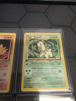 Custom Pokemon Bundle for: bisk6666 - Image 2