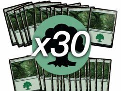 Magic the Gathering MTG 30 Forest Lot - Tarkir Dragonstorm - Image 1