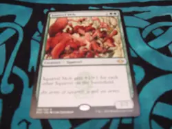 Squirrel Mob Mtg - Image 1