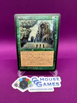 MTG Sylvan Library Artist Proof Unsigned JPN FBB 4th Ed Harold McNeill*CCGHouse* - Image 1