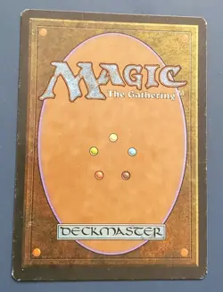 Magic: The Gathering Bayou Revised Edition Italian 1995 Rare Land (FWB) MTG - Image 2
