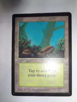 MTG MAGIC THE GATHERING CARD ORIGINAL BETA LAND FOREST B V2 MUSHROOMS BLUE X1 - Image 3